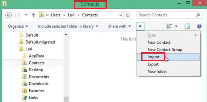 Windows で CSV を vCard に変換する詳細な手順